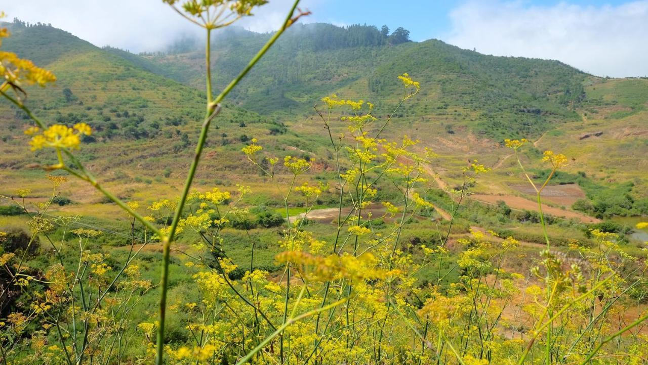 לוס סילוס Hotel Rural Finca La Hacienda מראה חיצוני תמונה